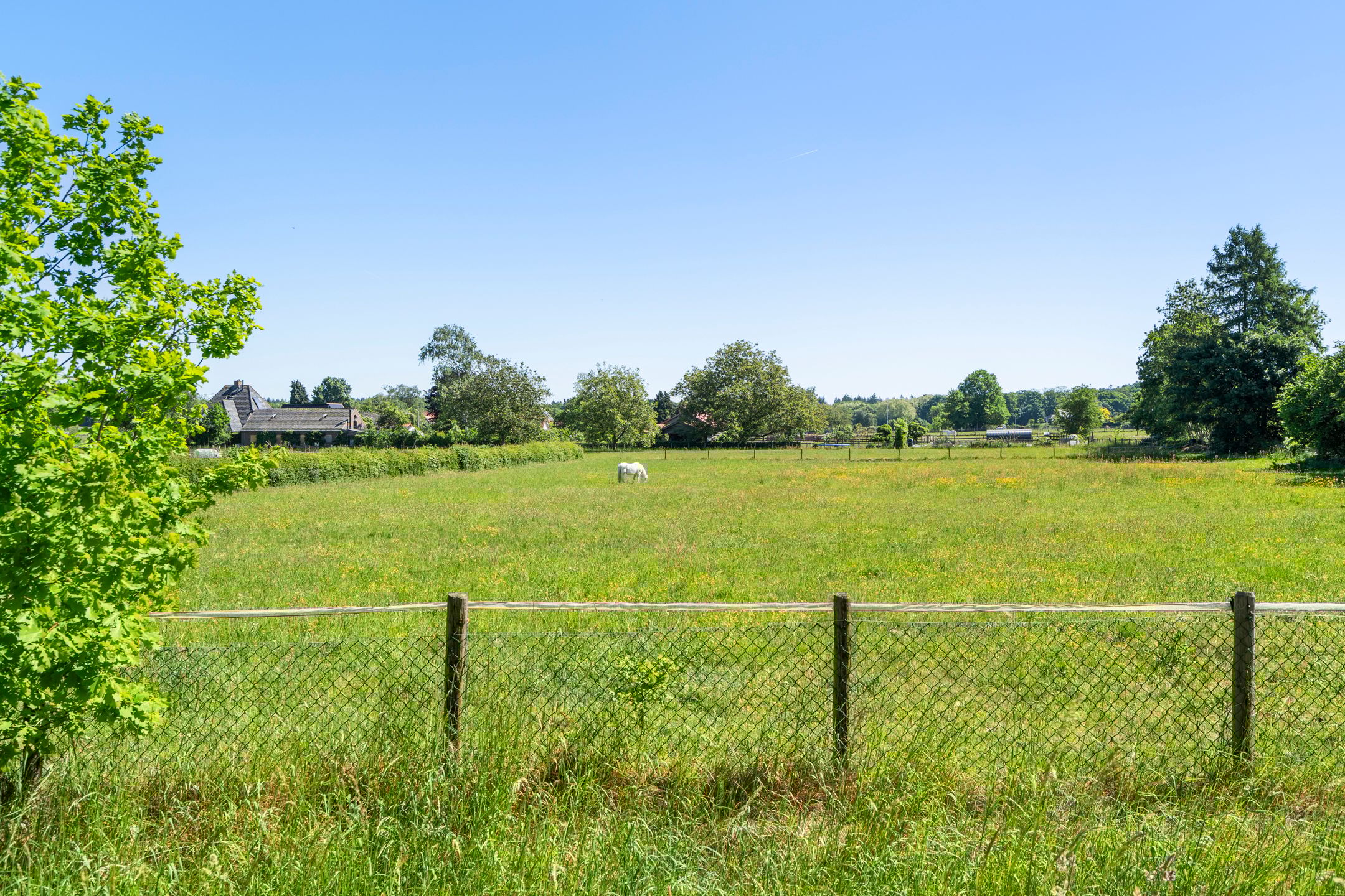 Foto 3 van Diedenweg 103-II