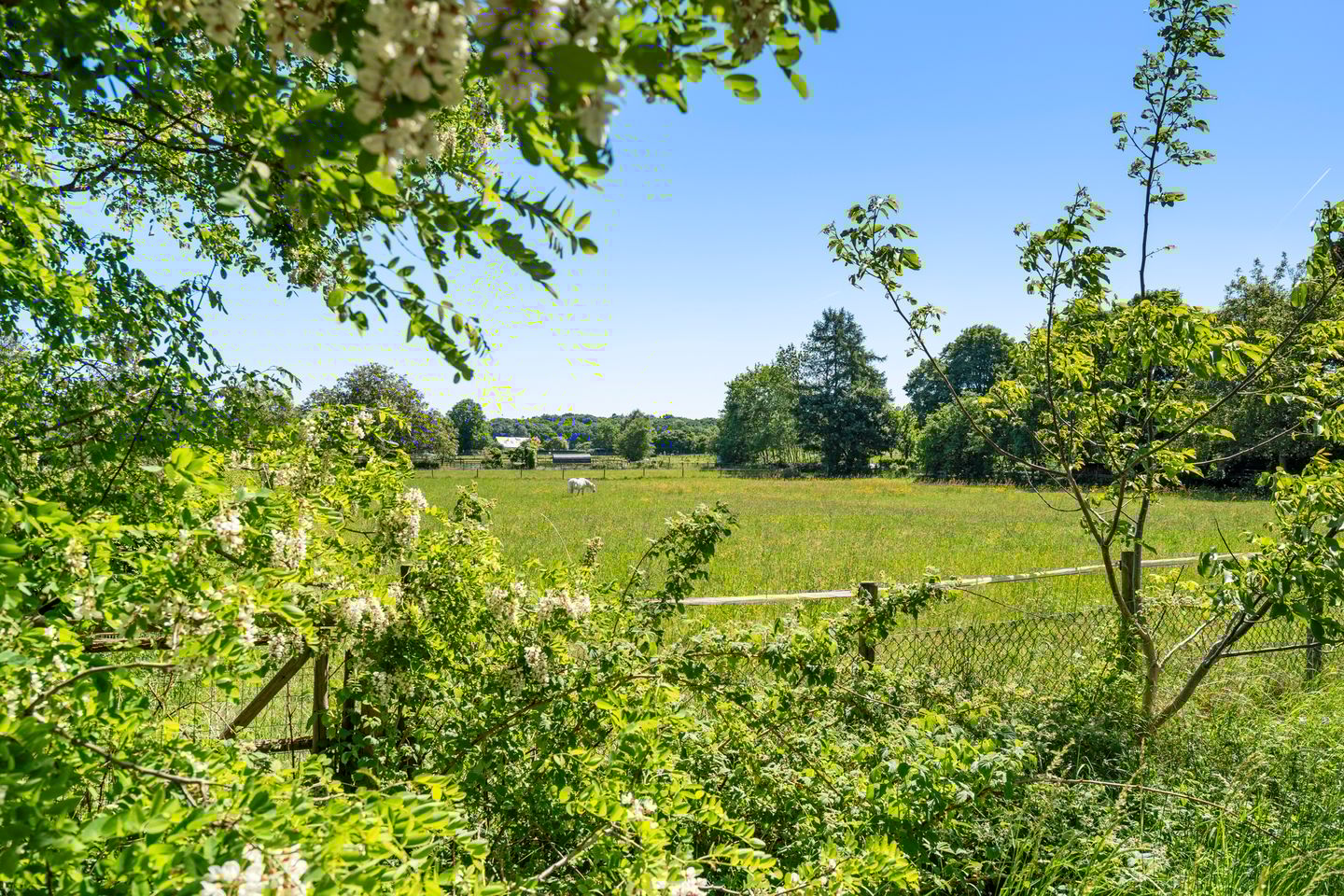 Foto 4 van Diedenweg 103-II