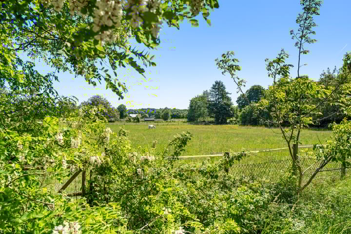 Foto 4 van Diedenweg 103-II