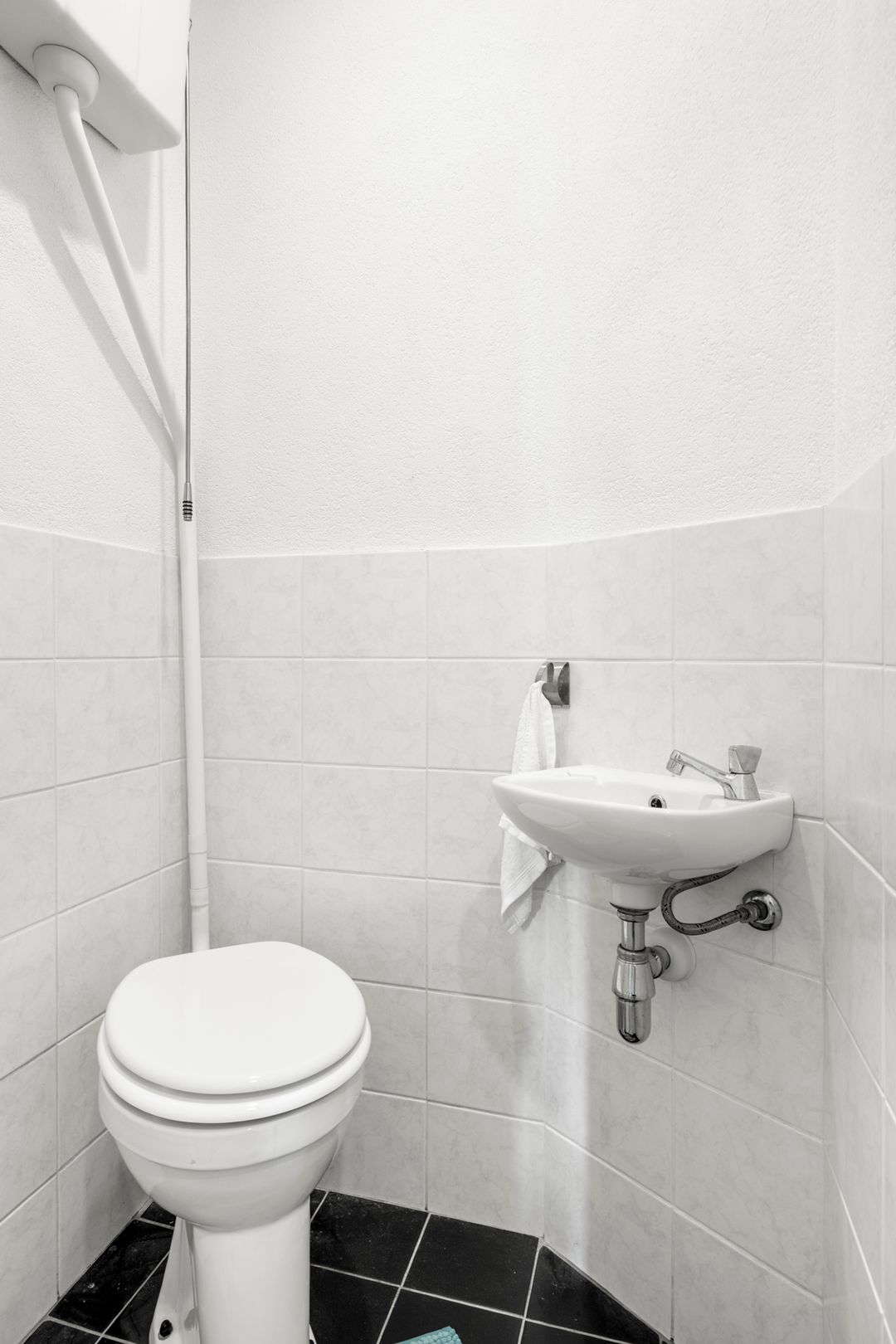 Foto 16 van Diedenweg 103-II