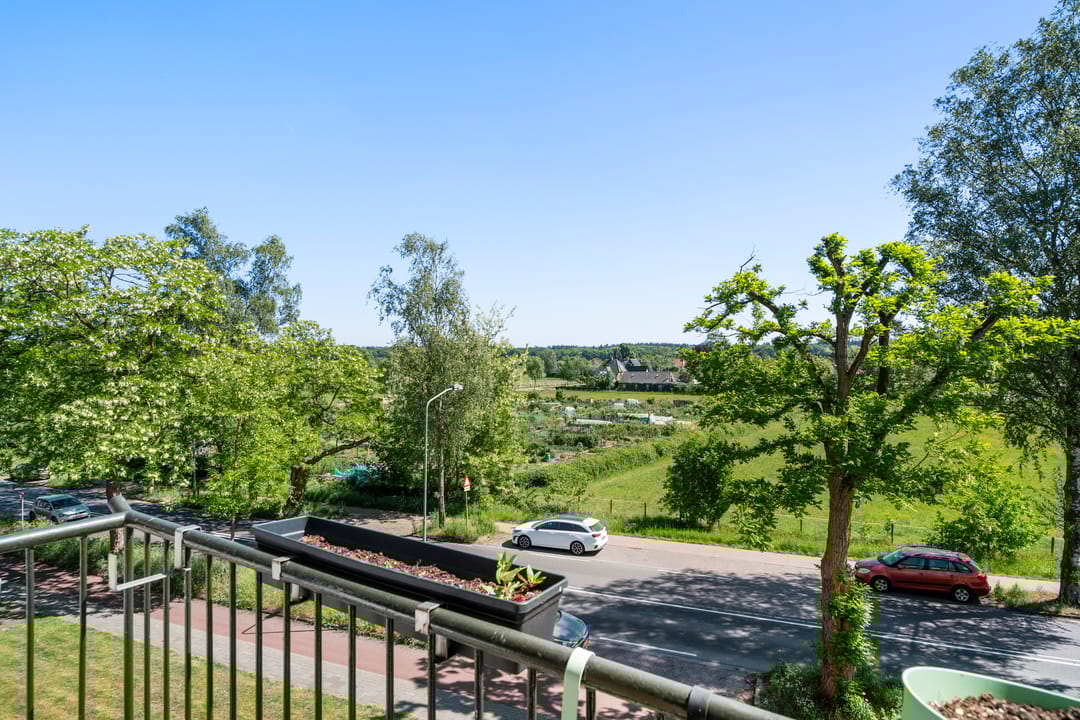 Foto 31 van Diedenweg 103-II