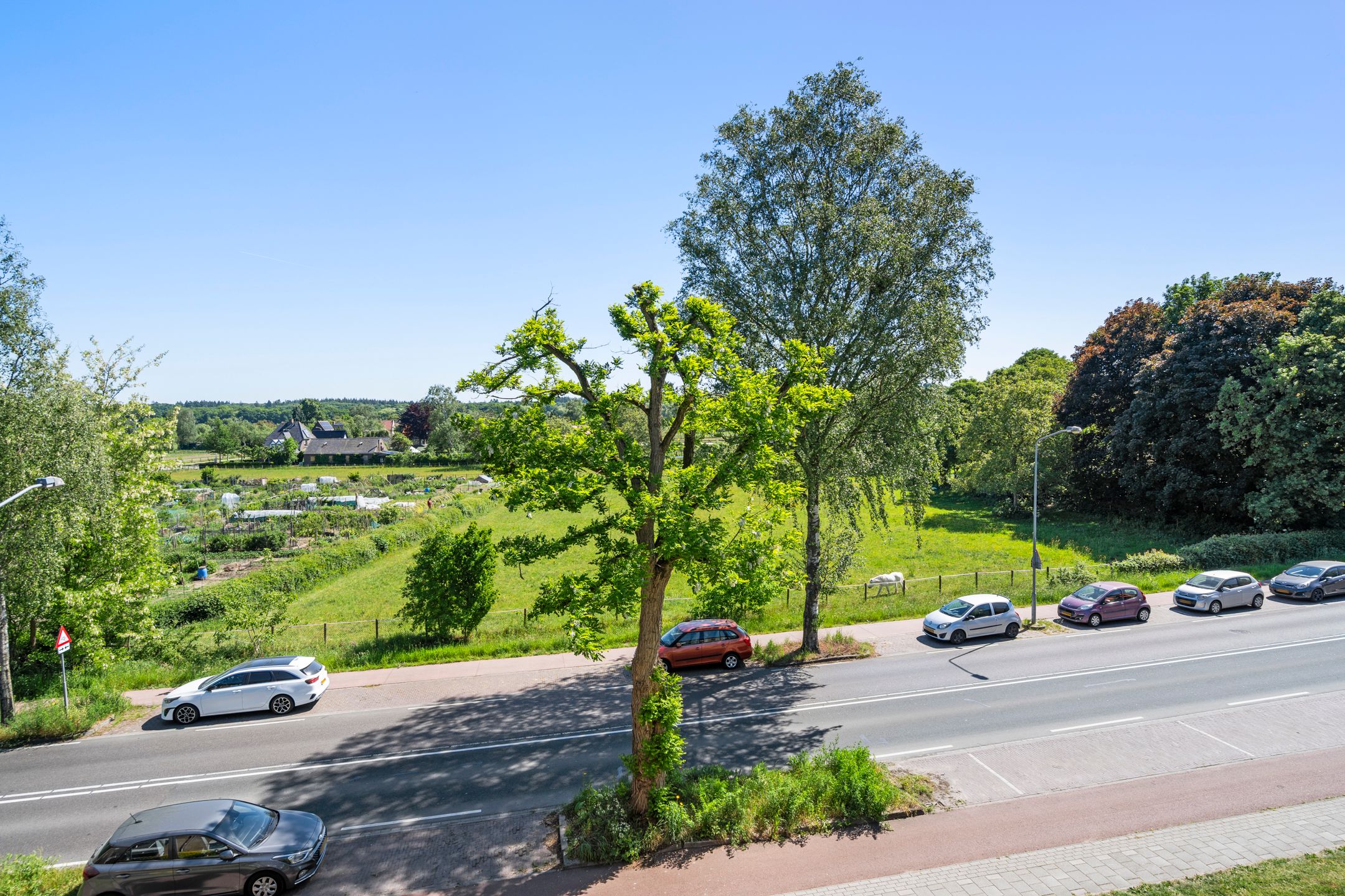 Foto 33 van Diedenweg 103-II