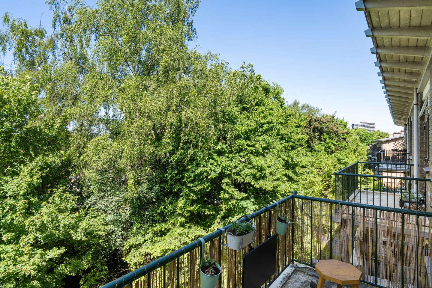 Foto 34 van Diedenweg 103-II