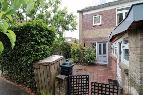 undefined main image