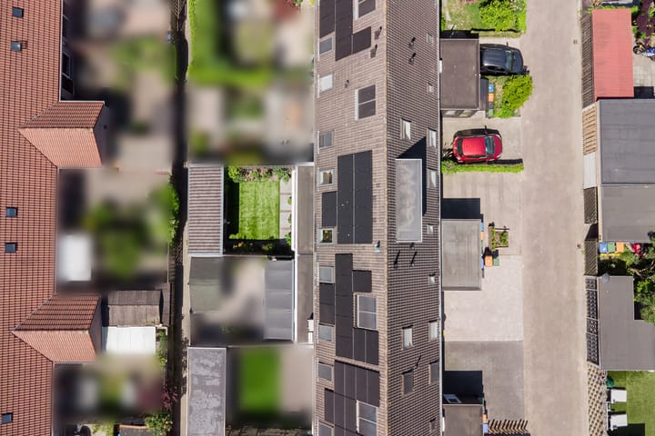 Foto 26 van Moerbeibloesem 33