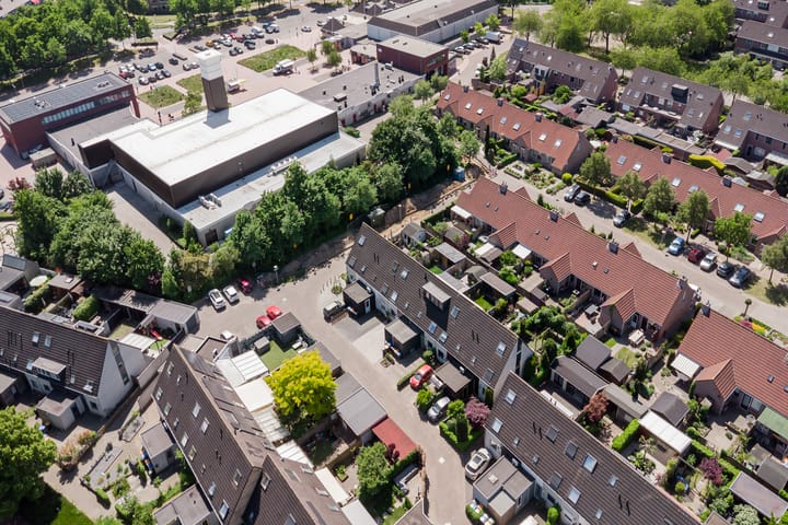 Foto 27 van Moerbeibloesem 33