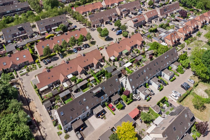 Foto 28 van Moerbeibloesem 33