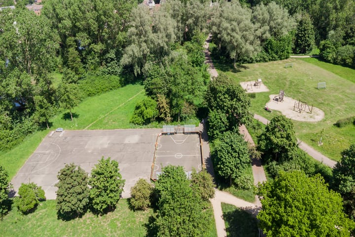 Foto 30 van Moerbeibloesem 33