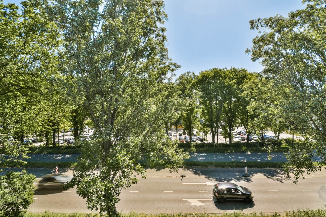 Foto 11 van Dijkwater 247