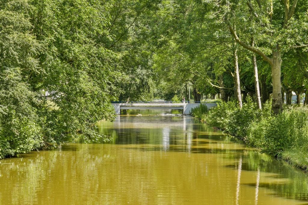 Foto 26 van Dijkwater 247