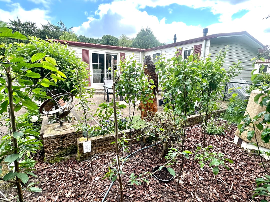 Foto 22 van Banstraat 25-430