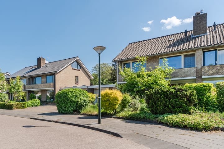 Foto 50 van Rozelaar 12