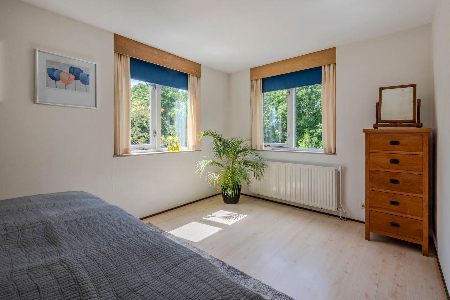 Photo 19 of Hollandse Hout 380