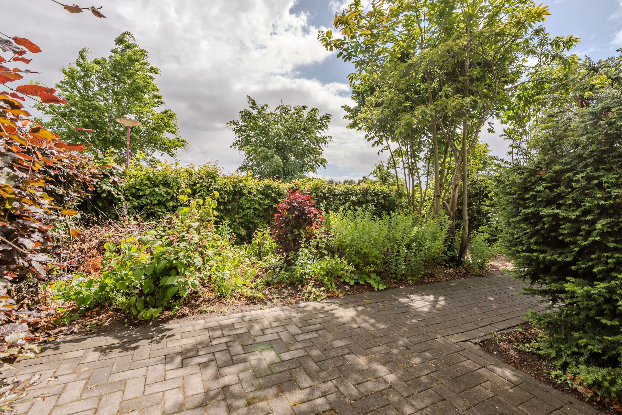 Photo 33 of Hollandse Hout 380