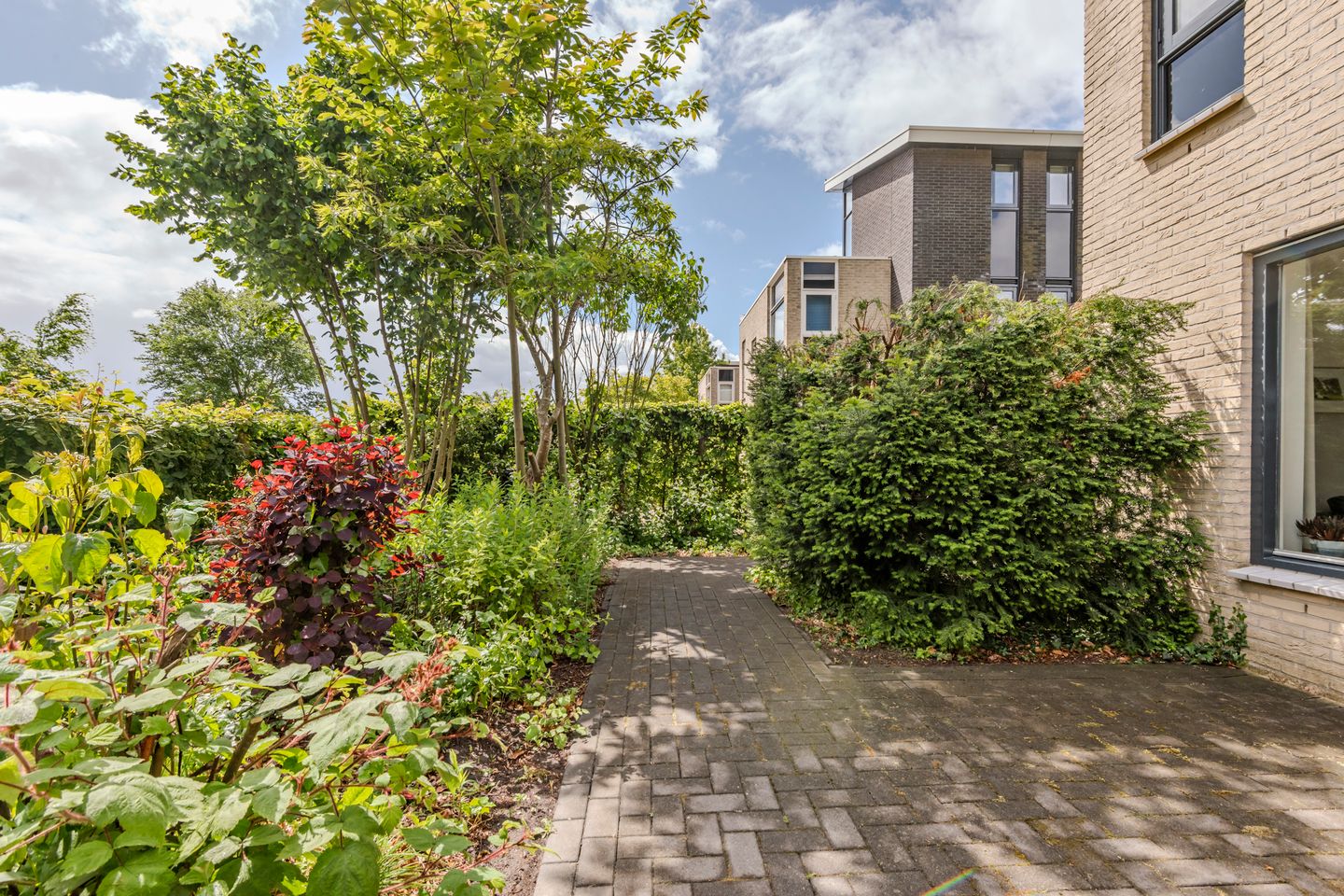 Photo 34 of Hollandse Hout 380