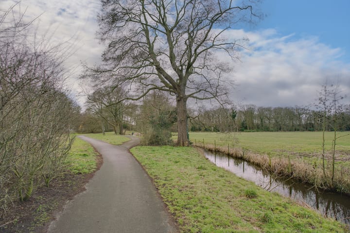 Photo 20 of Smaragdhorst 429