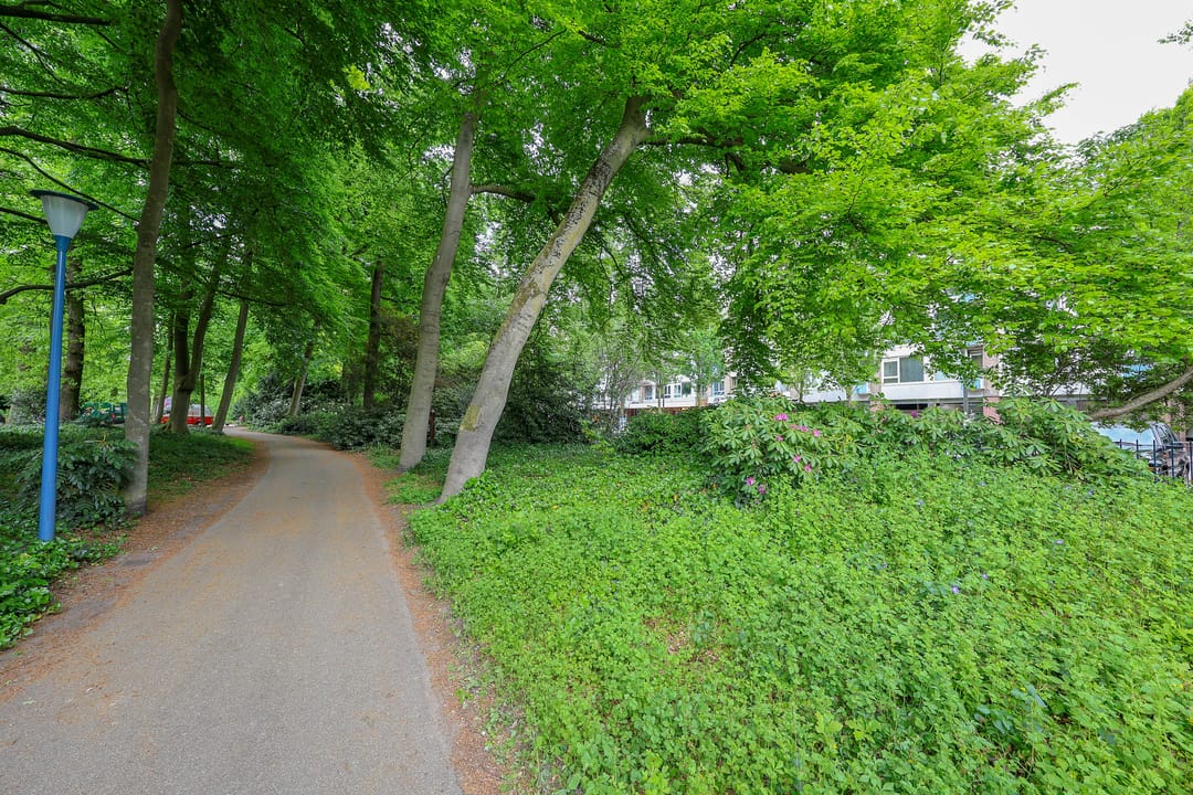 Foto 46 van Slotlaan 42-3