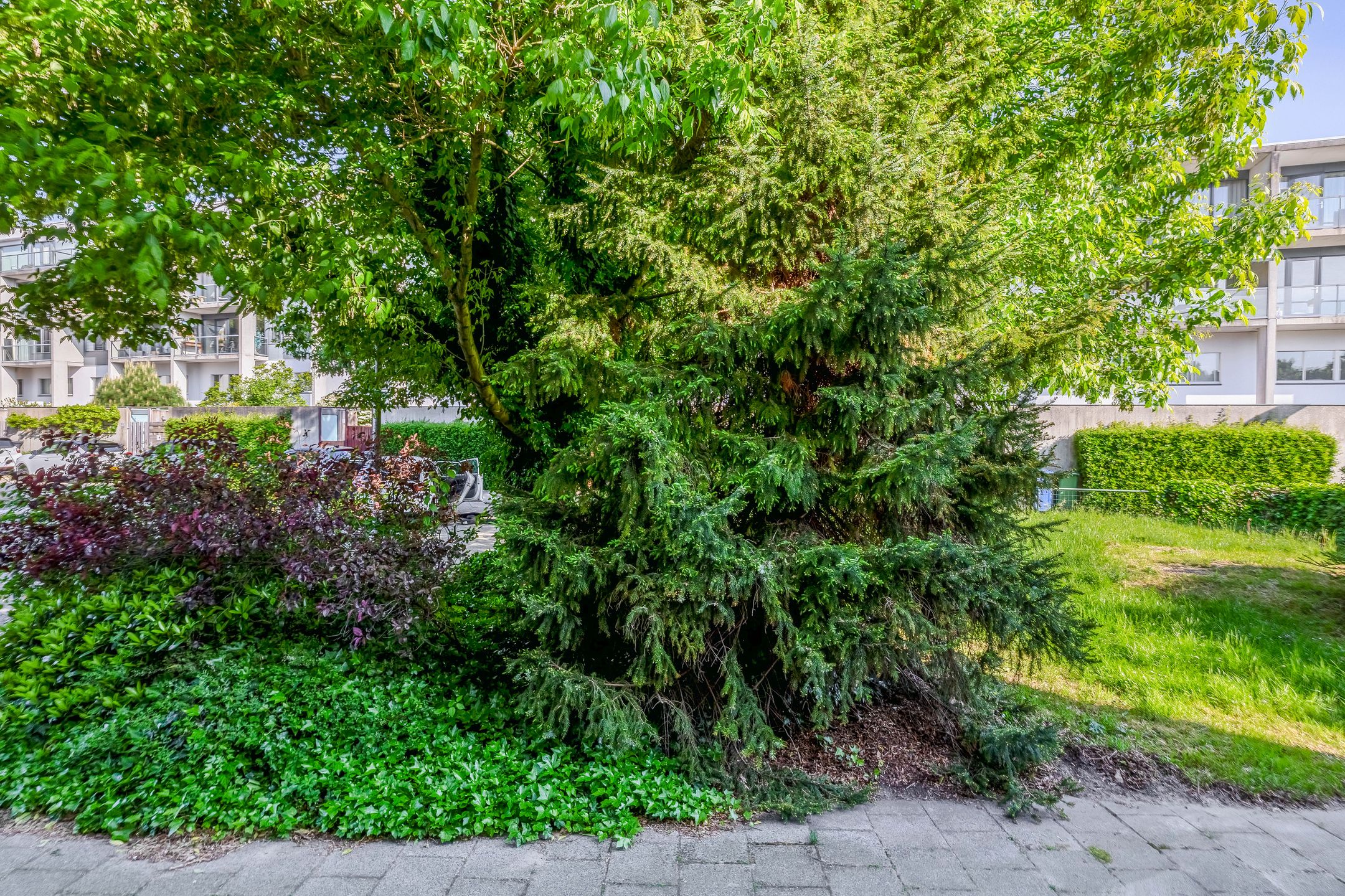 Foto 45 van Marinus Batenburgplein 12