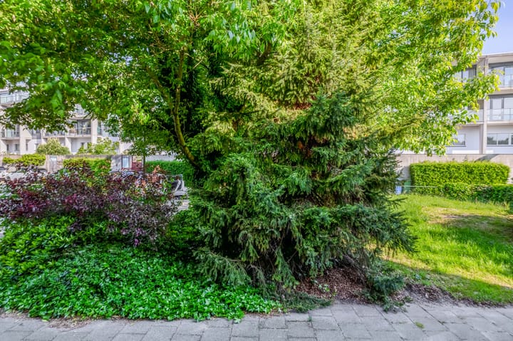 Foto 45 van Marinus Batenburgplein 12