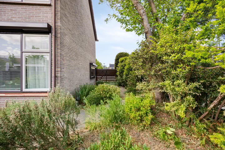 Foto 29 van Basiusstraat 14