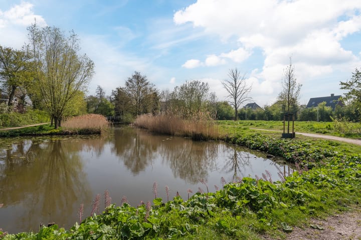 Foto 38 van Henry Dunantlaan 75