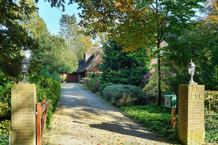 Foto 8 van Bakenbergseweg 250