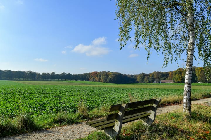 Foto 70 van Bakenbergseweg 250