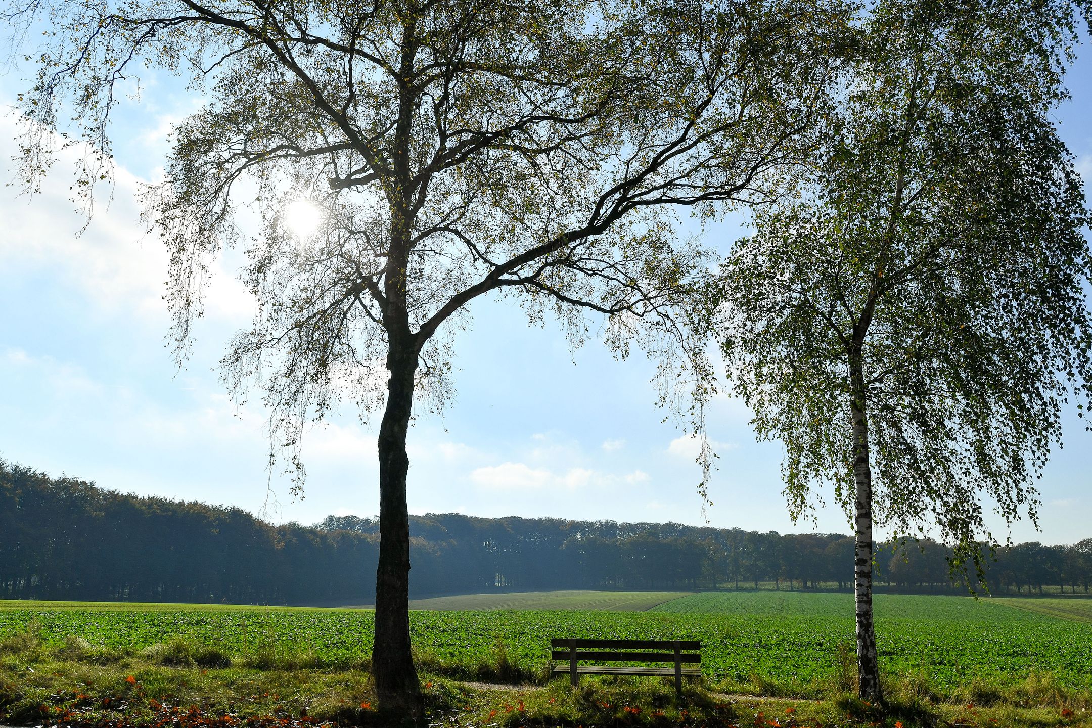Photo 72 of Bakenbergseweg 250