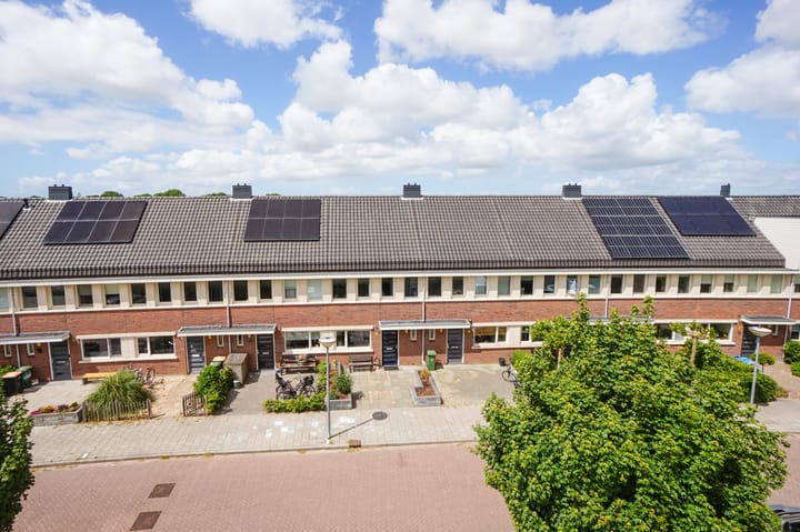 Foto 39 van Juttepeer 15