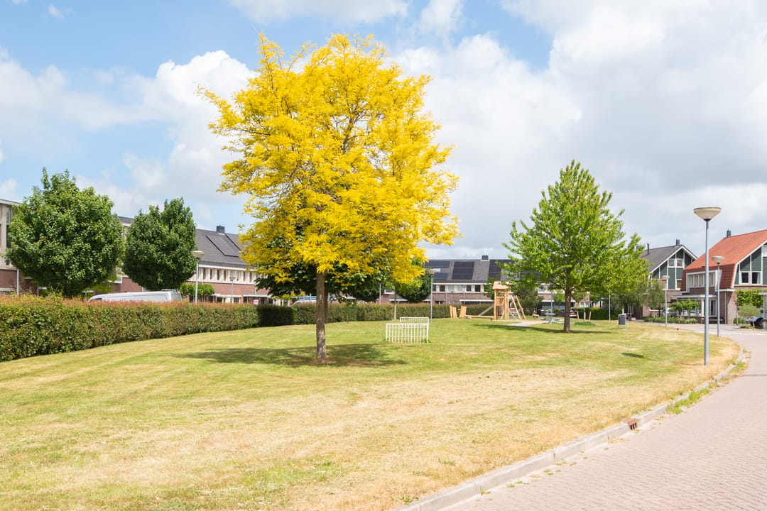 Foto 41 van Juttepeer 15