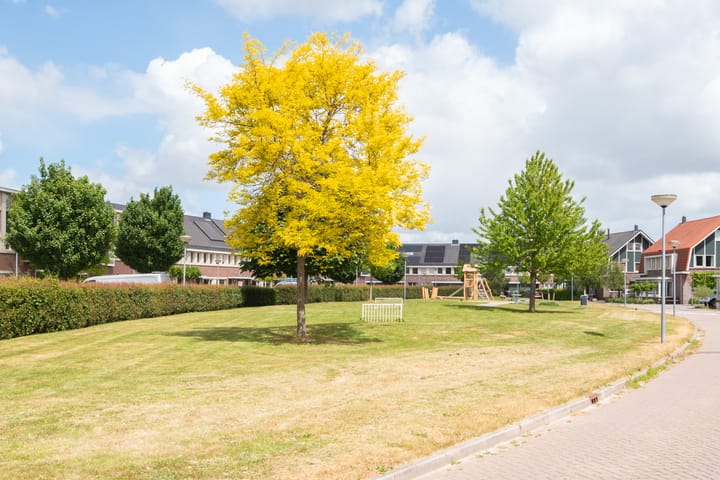 Foto 41 van Juttepeer 15