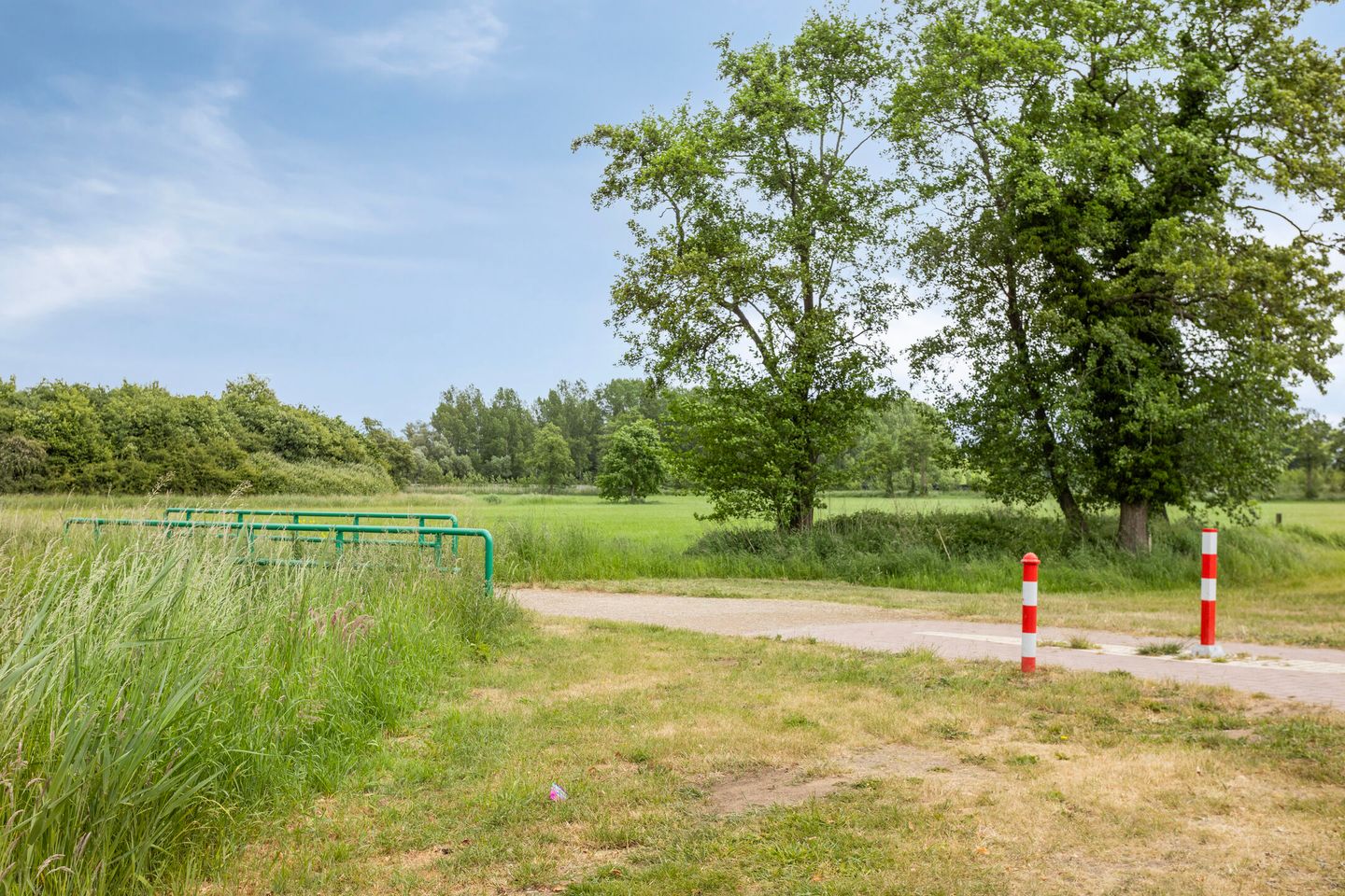 Photo 44 of Ensink 19