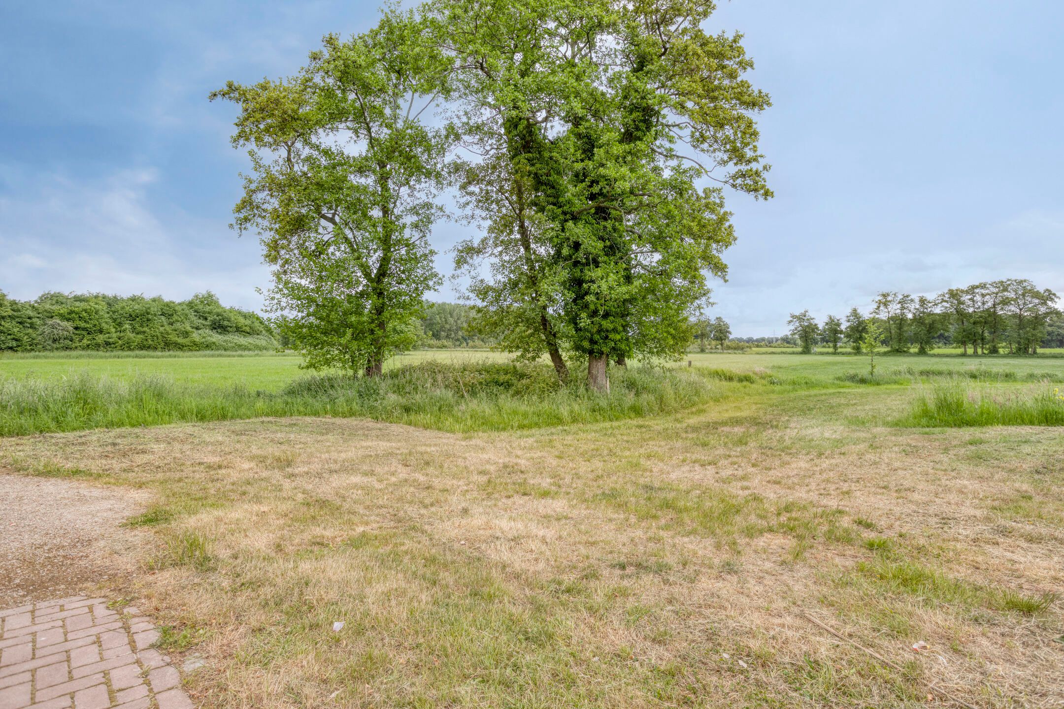 Photo 45 of Ensink 19