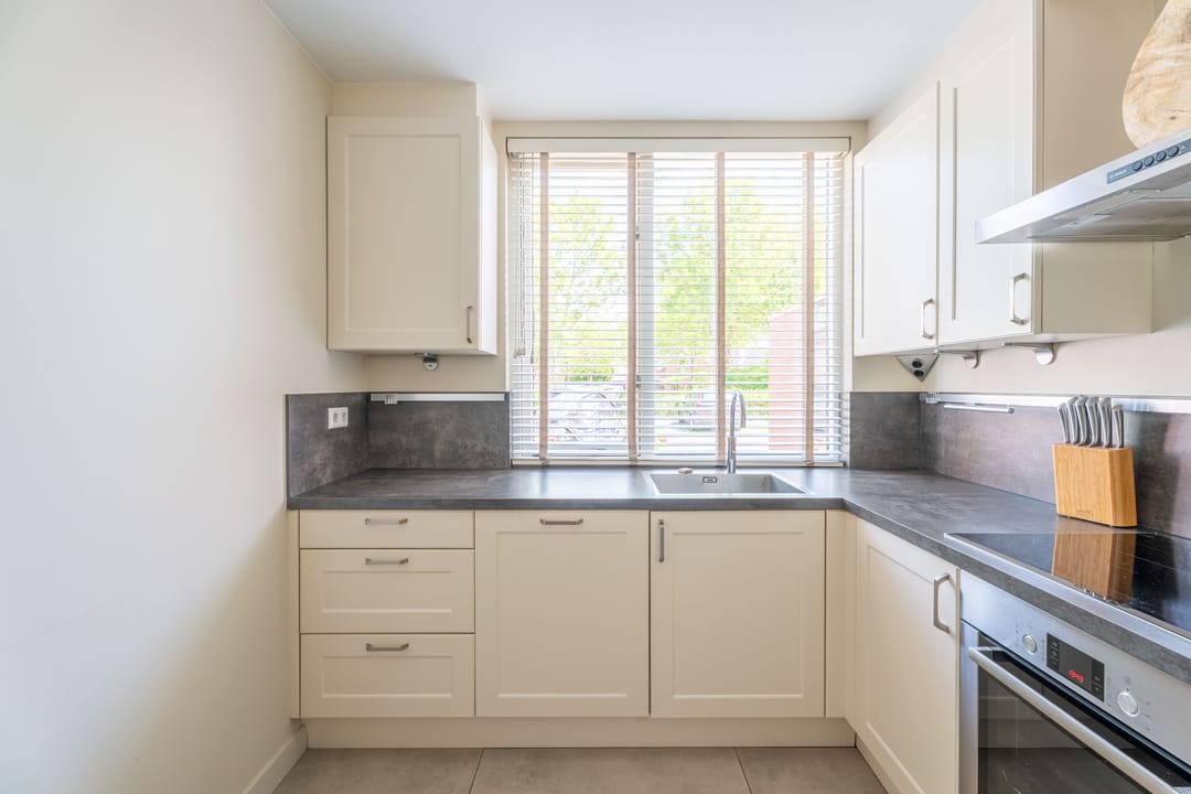 Foto 8 van Lupine 63