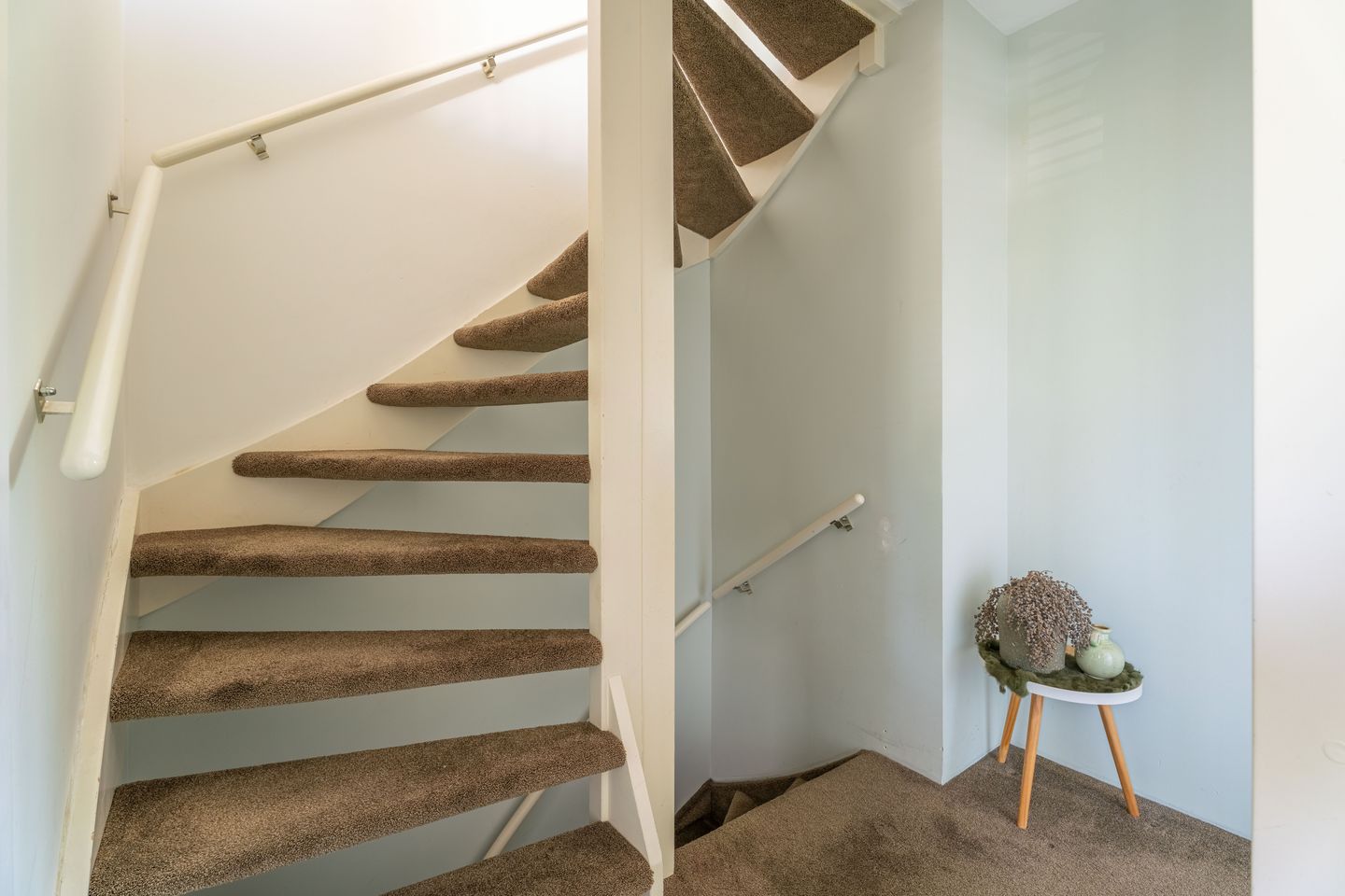 Foto 20 van Lupine 63