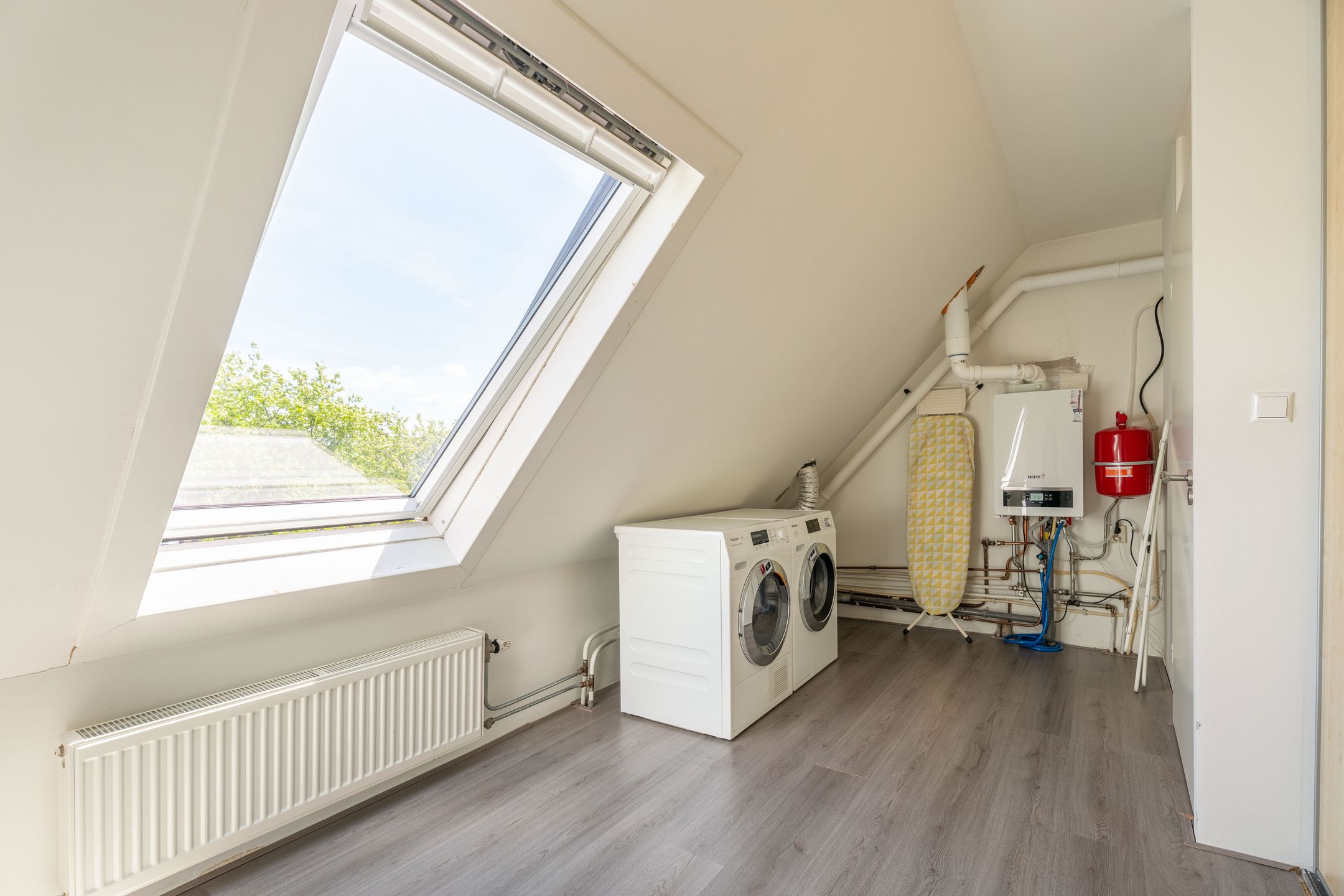 Foto 24 van Lupine 63