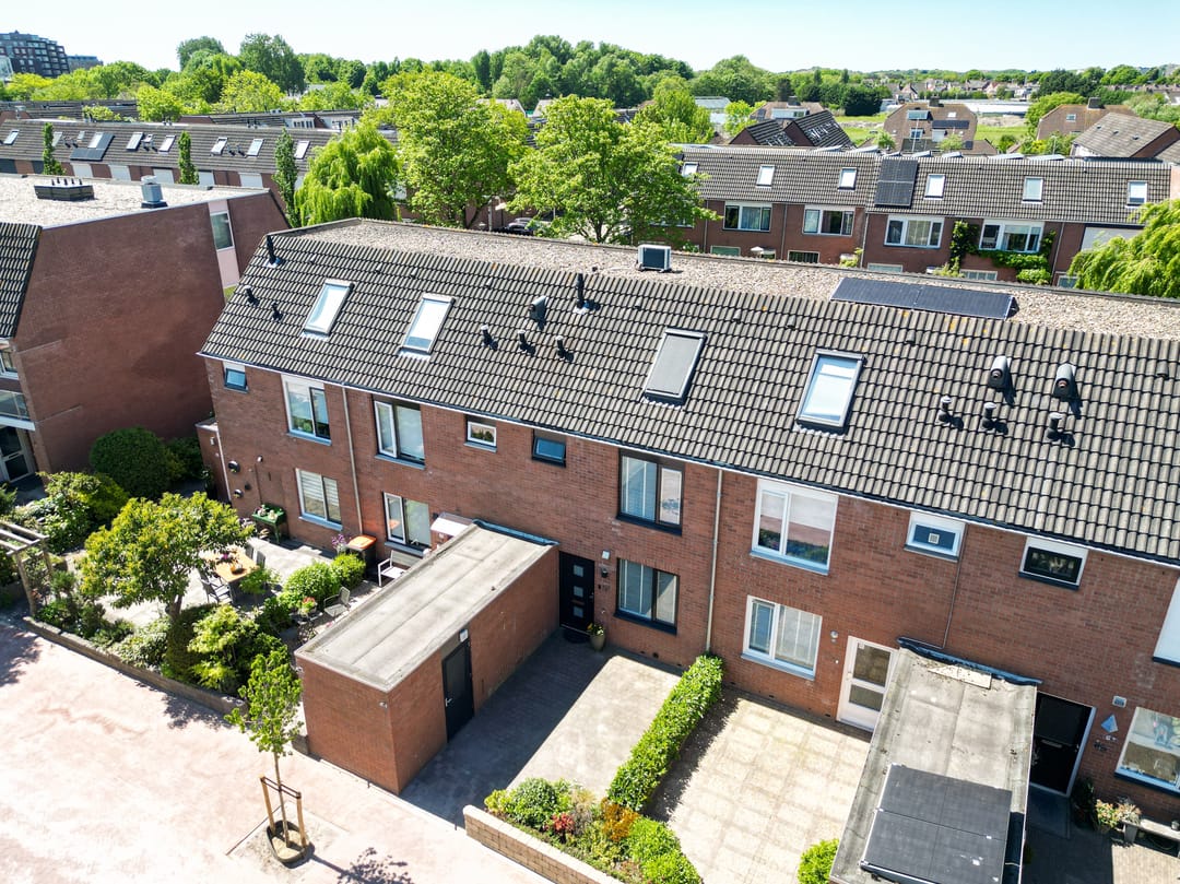 Foto 31 van Lupine 63