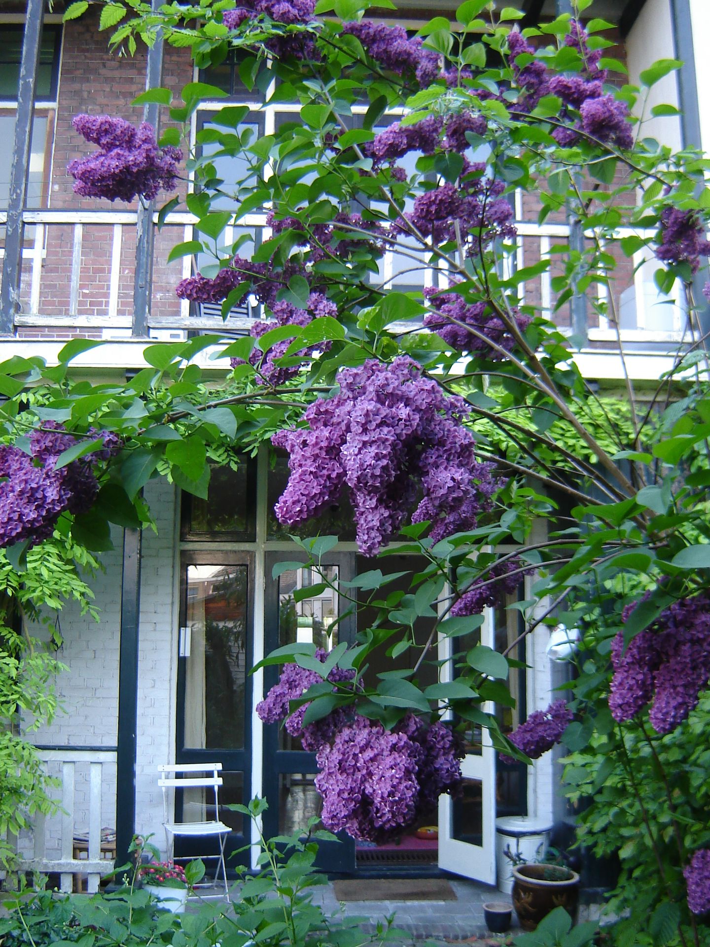 Foto 19 van Julianalaan 30