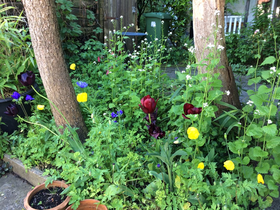 Foto 22 van Julianalaan 30