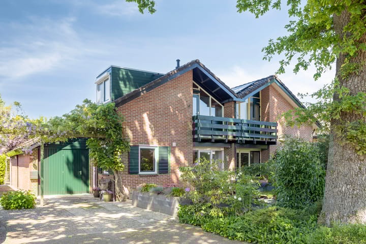 undefined main image