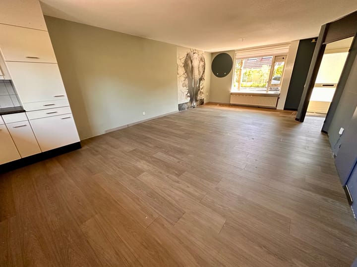 Foto 3 van Duinroos 28