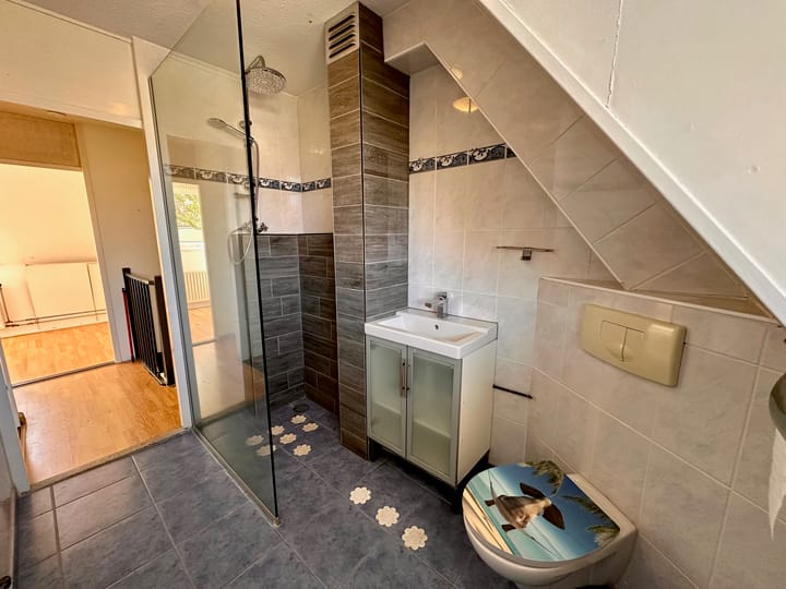 Foto 5 van Duinroos 28