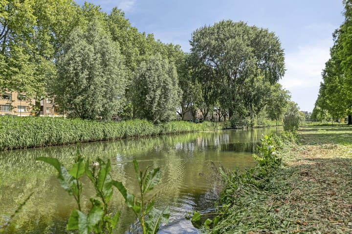 Foto 5 van Mr. Troelstrastraat 18