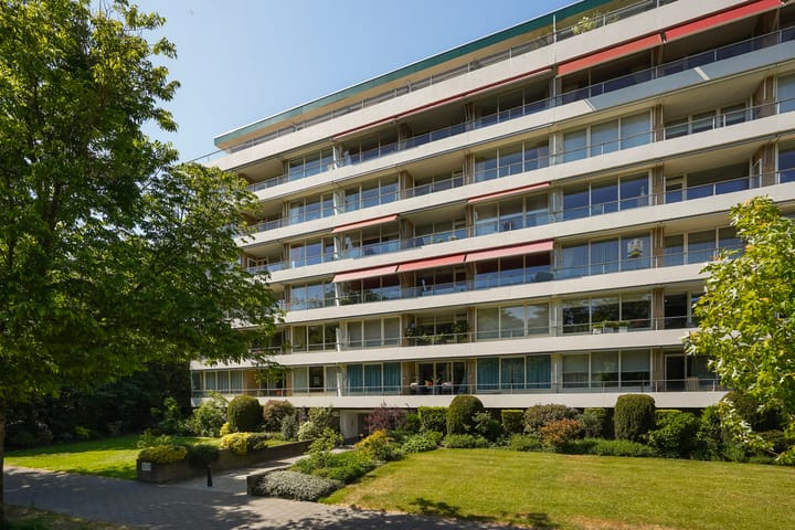 Ruychrocklaan 374
