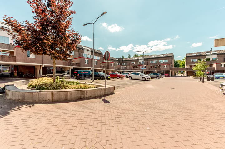 Photo 35 of Stortemelk 9