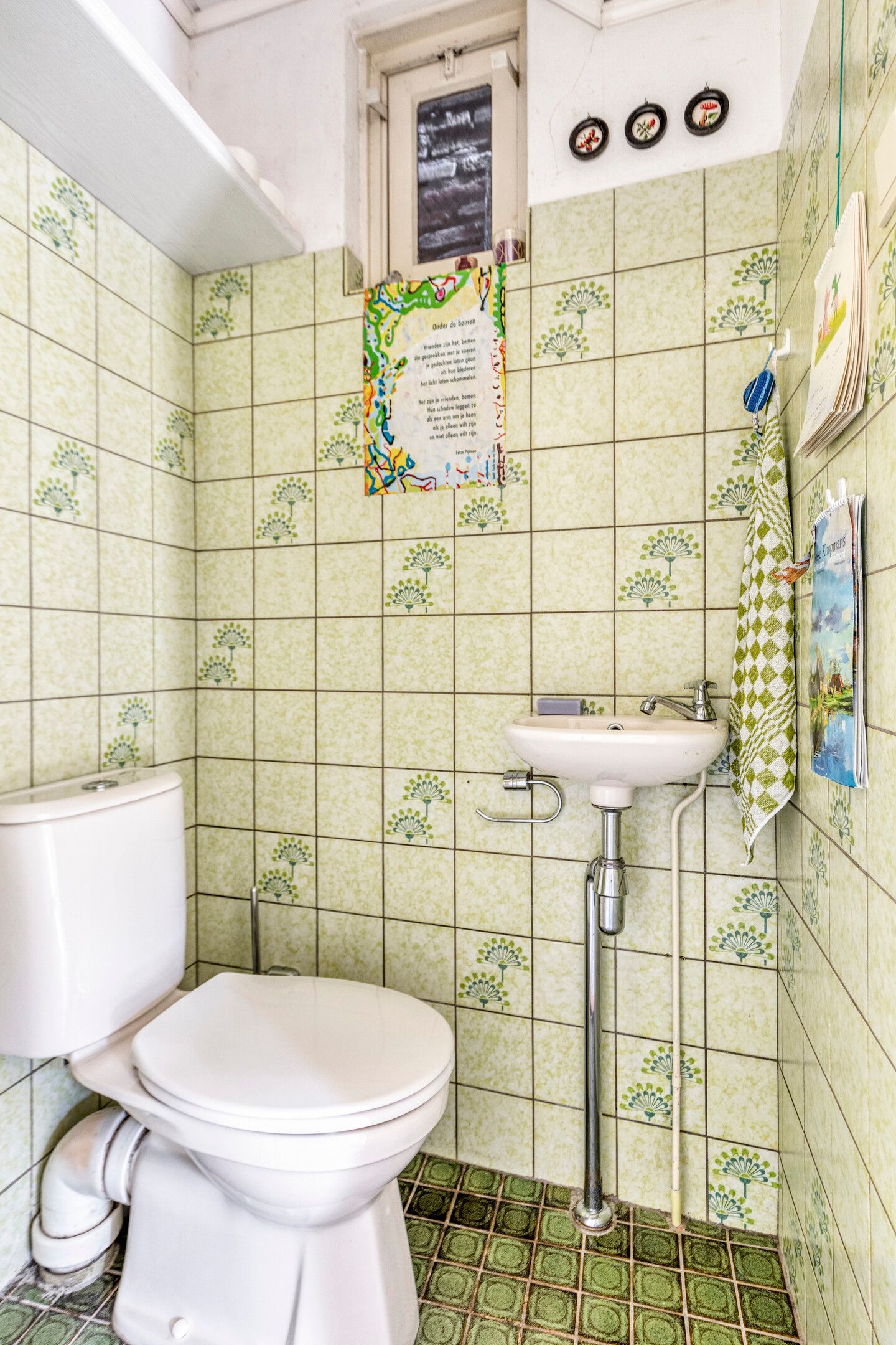 Foto 27 van Elte Martens Beimastrjitte 64