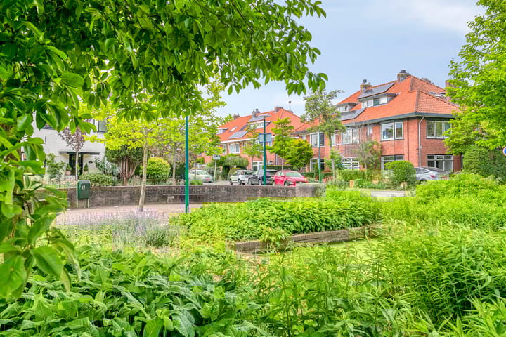 Foto 3 van Regentesselaan 44