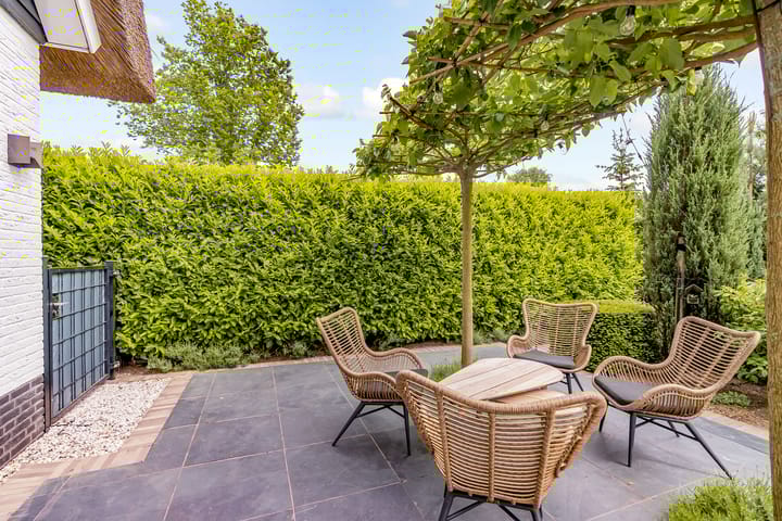 Foto 49 van Roderveld 58