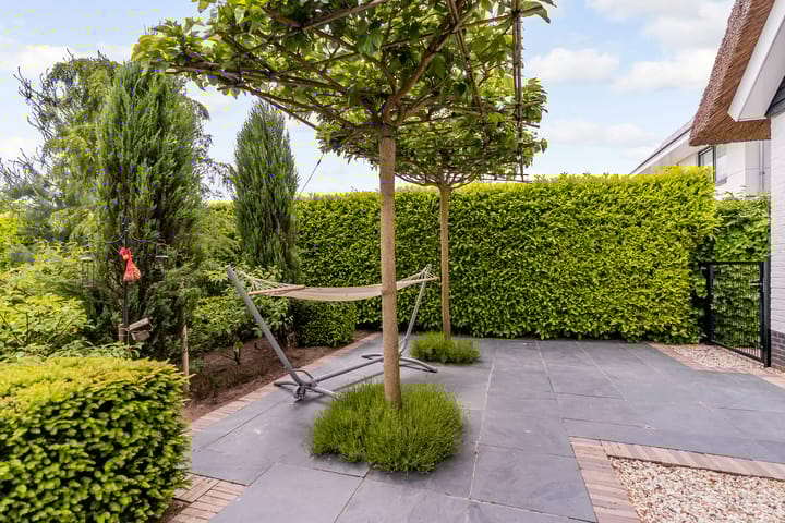 Foto 50 van Roderveld 58