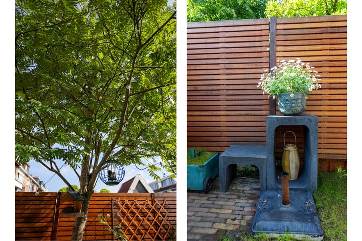 Foto 21 van Lijsterbeslaan 10